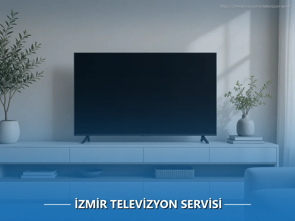 İzmir Televizyon Servisi
